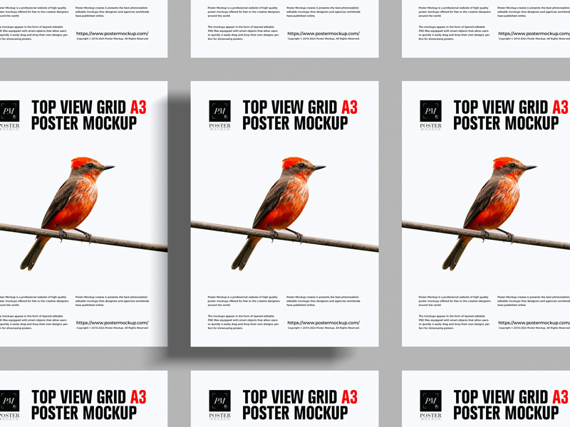 Free-Top-View-A3-Grid-Poster-Mockup