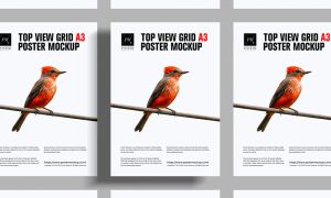 Free-Top-View-A3-Grid-Poster-Mockup
